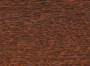 22 zlatý dub 22 zlatý dub