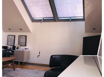 Plissé na střešních oknech v podkrovním bytě