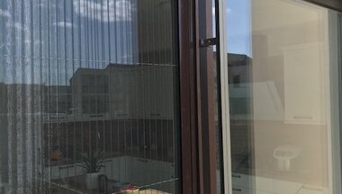 Sítě proti hmyzu na podzim: sundat, nebo nechat? MM Žaluzie Praha radí.