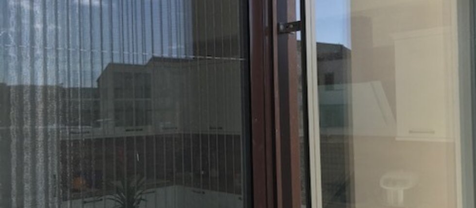 Sítě proti hmyzu na podzim: sundat, nebo nechat? MM Žaluzie Praha radí.