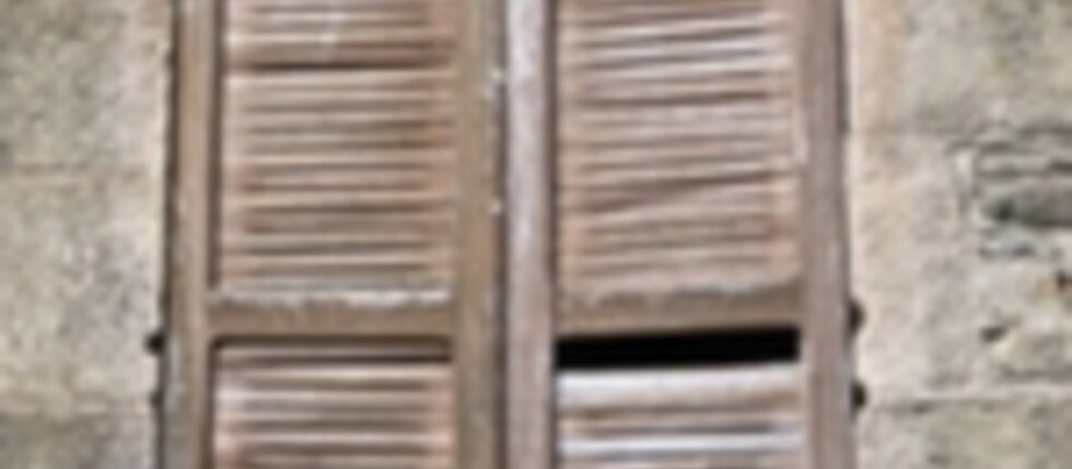 VÍTE NĚCO O HISTORII ŽALUZIÍ? VÍTE NĚCO O HISTORII ŽALUZIÍ?